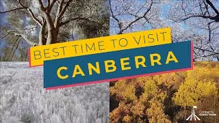 When Is the Best Time to Visit Canberra