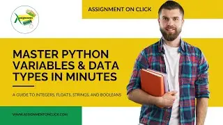 Master Python Variables & Data Types in Minutes | Assignment On Click