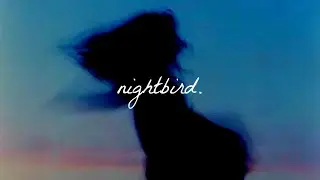 nightbird. - lukesky