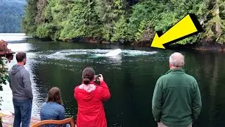 Gasten Zien Cirkels In Water—Wat Er Opduikt Laat Hen Verstijven