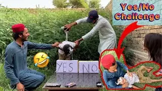 Yes or No challenge / hashir par pani ka jug daal dyia 🤣#hashir #awaisvlog #hashirvlogs