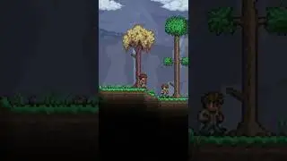 Жуткий мод на Террарию, о котором мало кто знает... #террария #terraria #horror