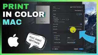 Как печатать в цвете на Mac/Google Chrome (или черно-белом)