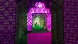 Pixel Led Gate | 3D arch gate | pixel light gate effect | pixel light #short
