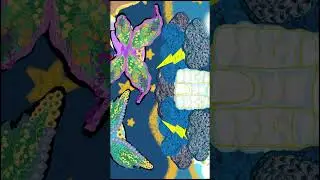 Can The Jelly Things Learn to Fly? Cheer Them On! #shortsfeed #kidsartchannel #storytimeforkids