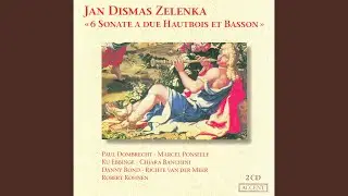 Trio Sonata No. 2 in G Minor, ZWV 181: IV. Allegro