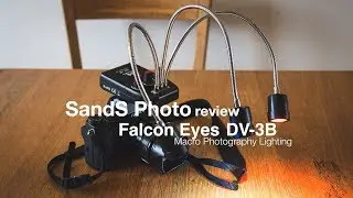 Adaptalux Rival - Falcon Eyes DV 3B Macro Photography Lighting Review
