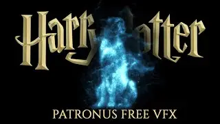 Expecto Patronum FREE effect ◈ Cheetah Patronus ◈ Harry Potter inspired VFX