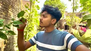 Aaj Hum Gaye Apna Bari 😱😱– Dekhi Kya-Kya Laga Hua Hai!”🌳🌳🌳
