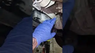 Расположение и как снять масляный фильтр Nissan Navara.