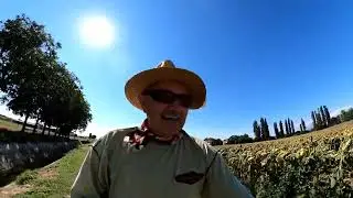 Giro in bici - Raccolta di pomodori campagna Cremonese.