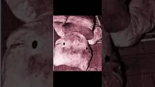 Hello kitty murder case.