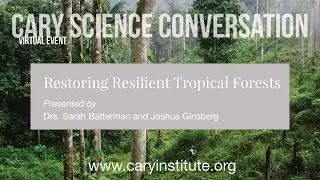 Restoring Resilient Tropical Forests