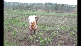 HUYE & GISAGARA: NKONGWA IDASANZWE YADUTSE MU BIGORI BIKIMERA ITEYE UBWOBA ABAHINZI BATABAZA LETA