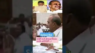 Peddayana punch ey vere🤣🤣 |#ysjagan #ysrcp #nellore #andhrapradesh