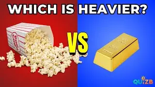 You Won't Believe Which Is Heavier! 😱Only Geniuses Get 50/50