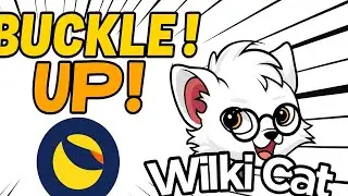 LUNC CONFIRMATION! ANOTHER WIKI CAT CONFIRMATION! FIRST WAVE!!BUCKLE UP!