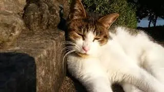 When the Sun Hits Just Right