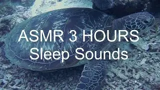 ASMR 3 часа сна звучит🤤 с расслабляющим видео и успокаивающей музыкой с белым шумом 😊