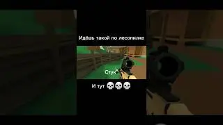 💀💀💀 #polywar #diels #прокси #phonk