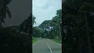#hillroad #palakad #athirappally #2024 #kerala #godsownecountry #southindia #india #travel #picnic