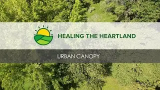 Urban Canopy | Healing the Heartland