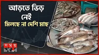 রমজানে চাহিদা নেই, কমেছে মাছের দাম | Ramadan | Fish Market | Price Update | Meherpur
