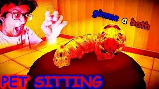 does this thing look like a dog to you?| Pet Sitting