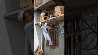 aaj nhi pakad paaya 😭 pigeon viral video #pigeon #kabutar #birds #trending #shortsfeed #shorts