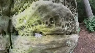 Tour of Eridge Rocks, UK