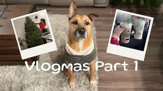 VLOGMAS Part 1! Dutch Bros Holiday Coffees, Costco and Christmas Tree Shopping, Setting up the tree