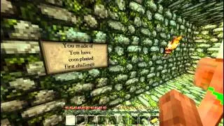 Forgotten Temple Adventure Map w/ Nick Ep.1: Harmonica