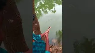 primitive fishing gun #primitivetechnology #slingshot #fishinggun #shorts #primitivefishing