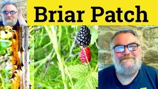 😎 Briar Patch Meaning - Briar Patch Definition - Briar Patch Defined - Briar Patch - Briar Patch
