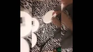 asmr giant macaron/ Giant fake food addition