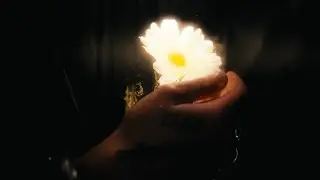 Guillaume Bois - Showreel 2021-2023