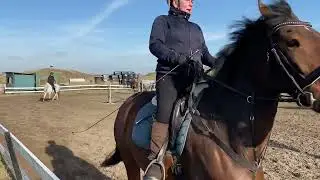 Oefenen ruiterbewijs