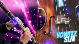 Ork. Yanis ❎ Sistem 🎷 2025 @YonutzSlm