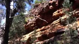 Alligator Gorge Flinder Ranger Australie