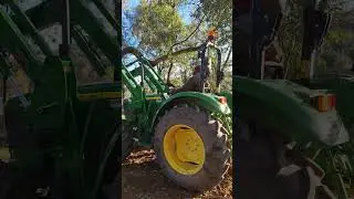 Prepping for bushfire season: clearing and creating a safe zone #forest #bushfire