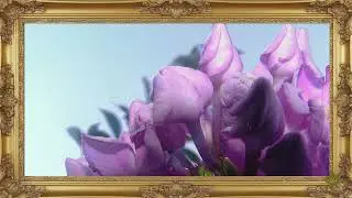 TV Framed Screen Art w/Piano Jazz -  Oil Painting - Relaxing Mood - Floral Art - Dinner Party