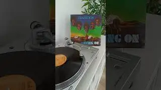 Tradition - Every Little Beat Of My Heart - Reggae Vinyl #Shorts