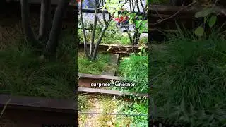 NYC Secret Spots 7 Hidden Gardens for a Peaceful Escape Part 2