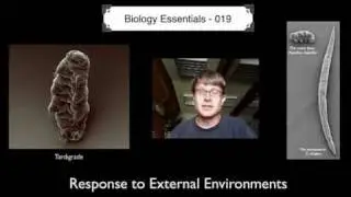 Response to External Environments