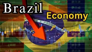 How did Brazil economic development happen .?