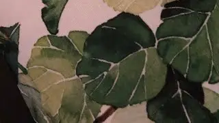 Hornworm breeding 4:30 am my manduca moths hooking up