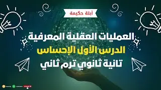 الإحساس| الدرس الأول علم نفس| تانية ثانوي ترم ثاني العمليات العقلية المعرفية -عام وأزهر- أبلة حكيمة