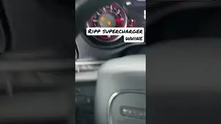 Ripp supercharger whine