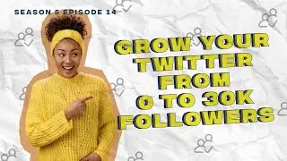 Developing Your Brand As A Software Developer Using Twitter