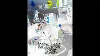 KUMITE NOISE TERROR / 1st gig 7/4/2025 [Noisecore]